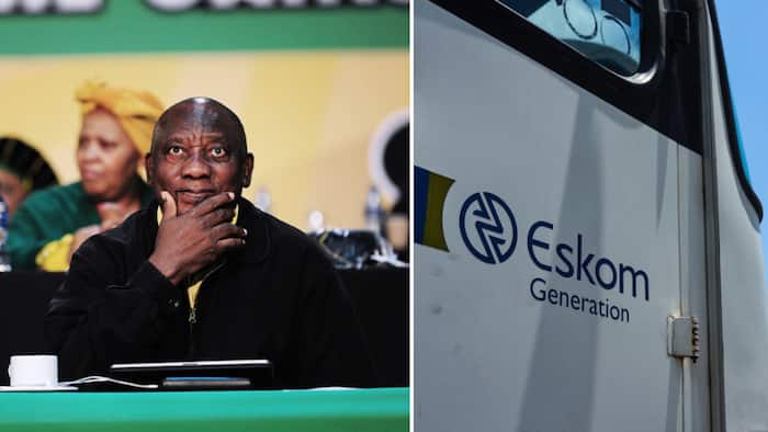 201 ANC MPs vote against DA motion for corruption probe into Eskom after ex-CEO André de Ruyter’s allegations