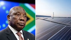 Solar plant workers down tools in protest of underpayment and racism ahead of Ramaphosa's site visit