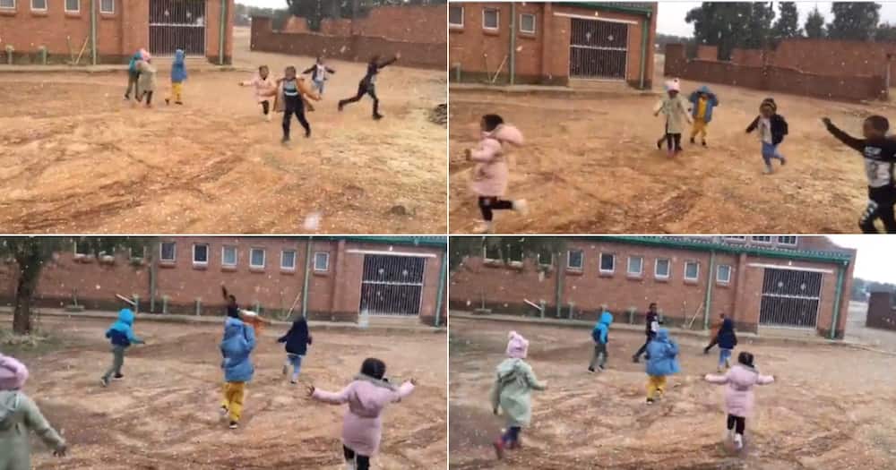 Kids, Snow, Kimberly, South Africa, Viral Video, Twitter reactions