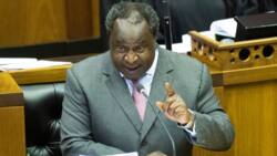 Former Finance Minister Tito Mboweni shades the ANC, trade unions and Kgalema Motlanthe, trends online
