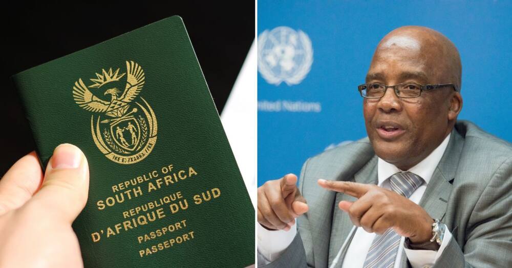 Department of Home Affairs, foreign nationals, home affairs officials, fake SA IDs, passports, Aaron Motsoaledi