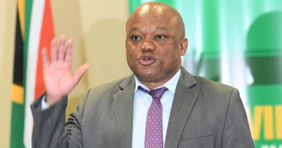 KZN Cabinet Reshuffle: Sihle Zikalala Appointed MEC Less Than a Week ...