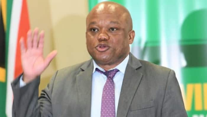 KZN cabinet reshuffle: Sihle Zikalala appointed MEC less than a week after resigning