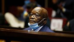 Lawyers file Jacob Zuma's secret medical report, speculation rife over 'mystery' illness