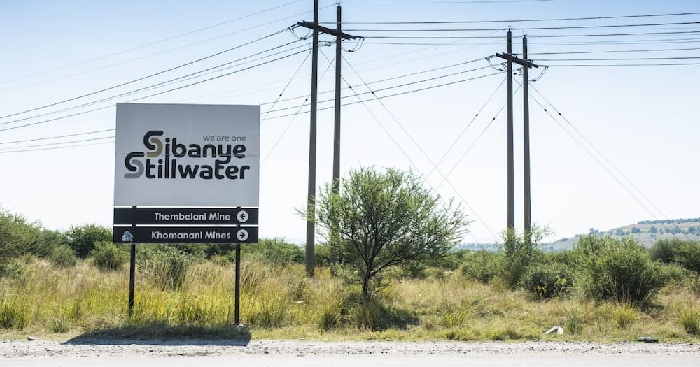 Business news, Sibanye-stillwaters, CEO, Neal Froneman, R300million, paycheck, miners