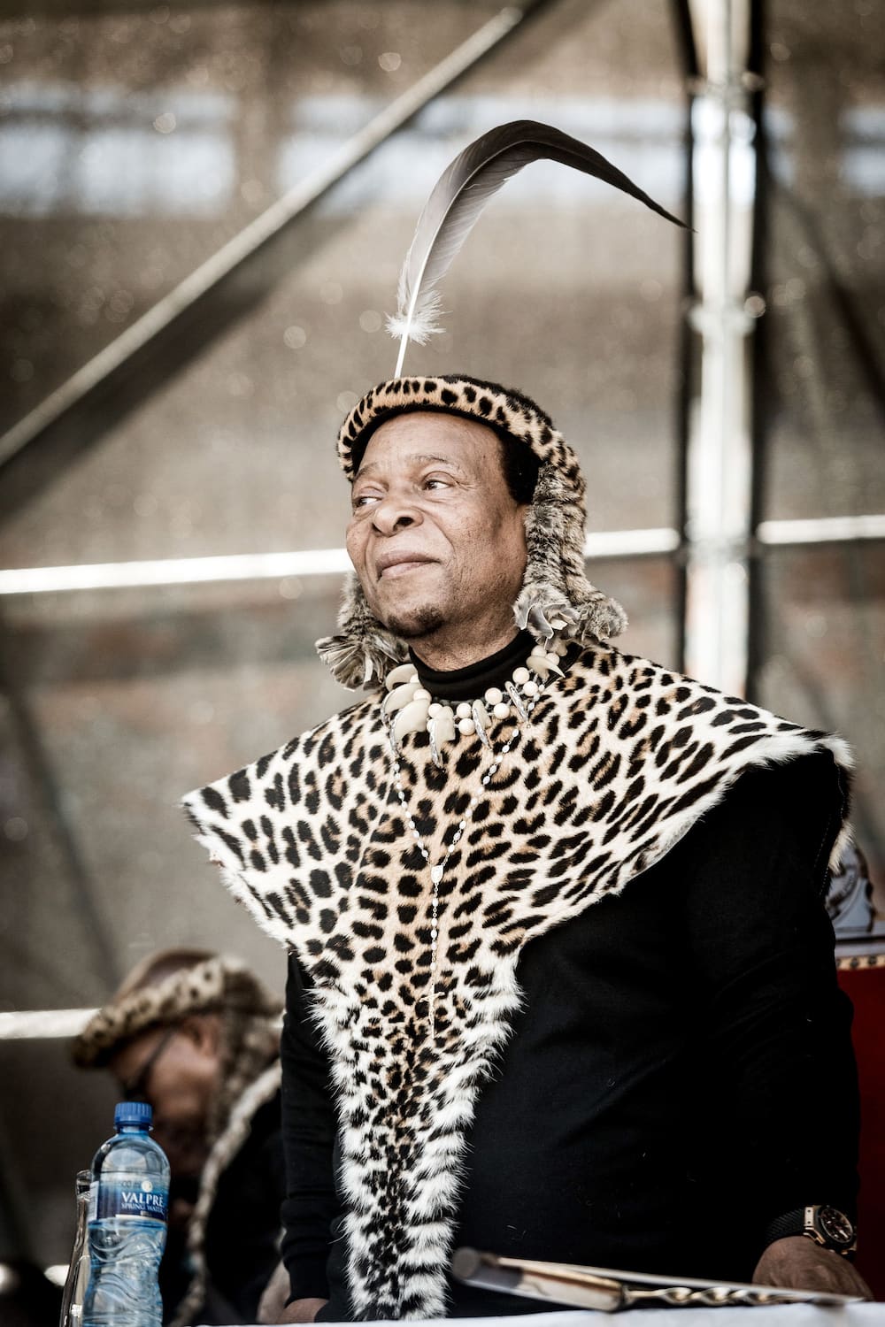 Zulu King Zwelithini