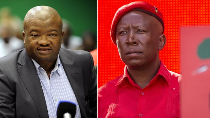 Bantu Holomisa says that he and Julius Malema were not part of the untouchables in the ANC, Lindiwe Sisulu Is