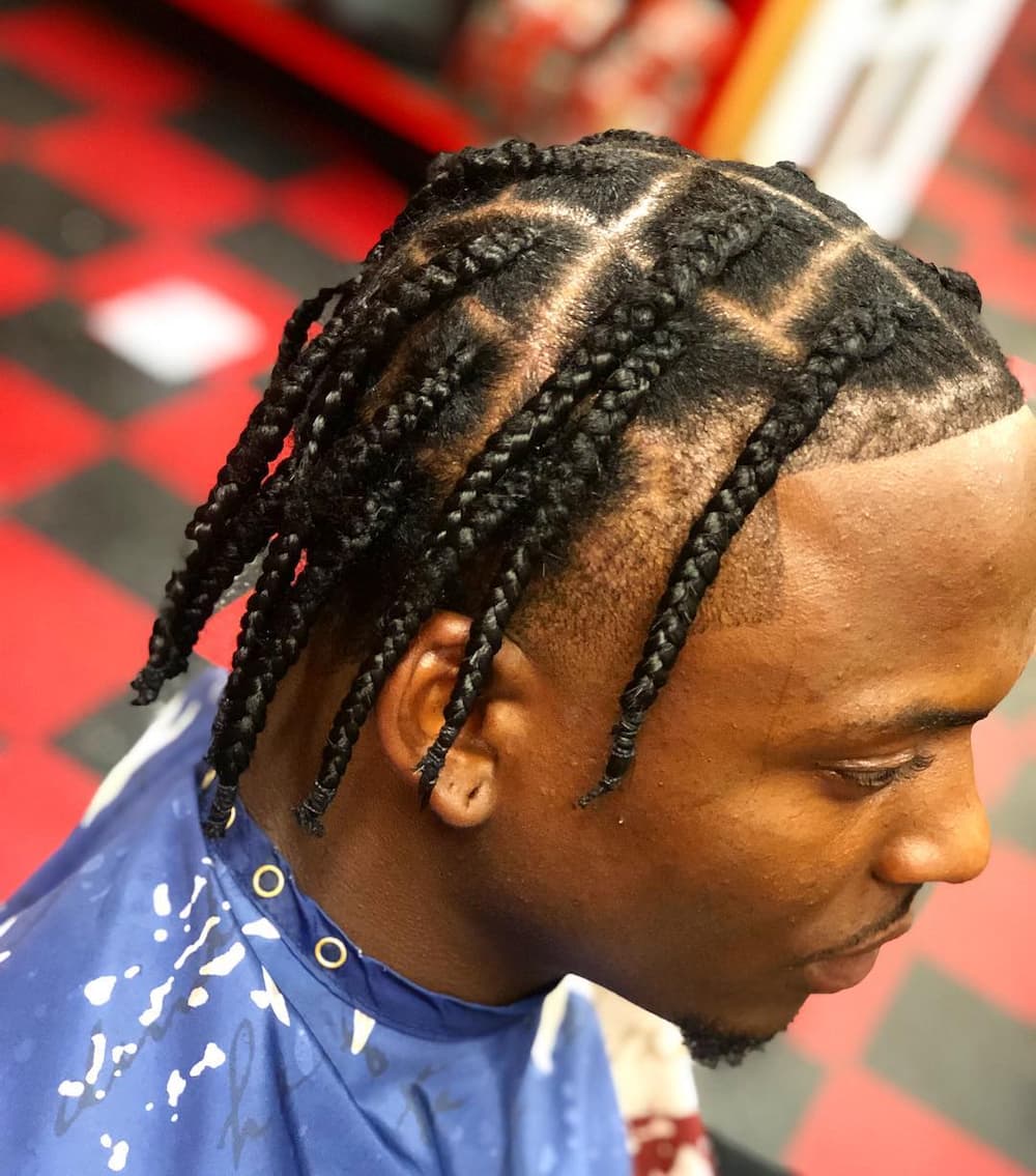 20 box braids hairstyles for men - Briefly.co.za