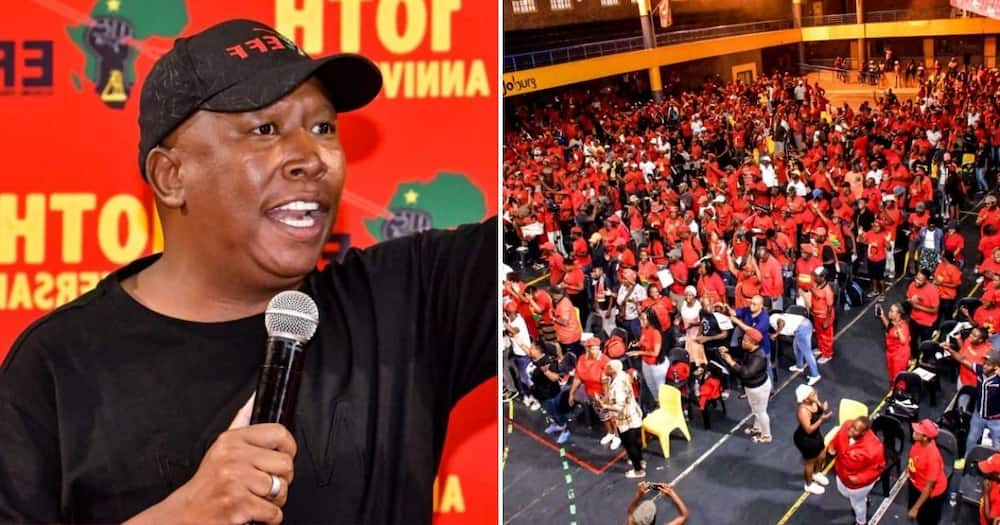 Malema said court interdict wont stop EFF from protesting