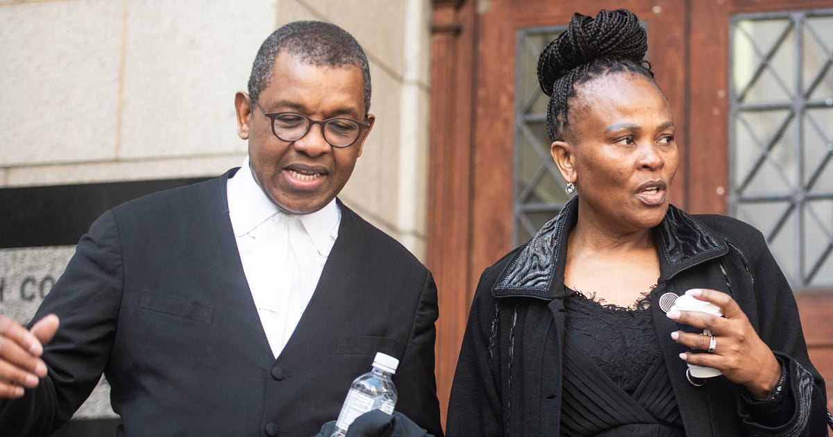 Dali Mpofu Wishes Suspended Public Protector Busisiwe Mkwebane 