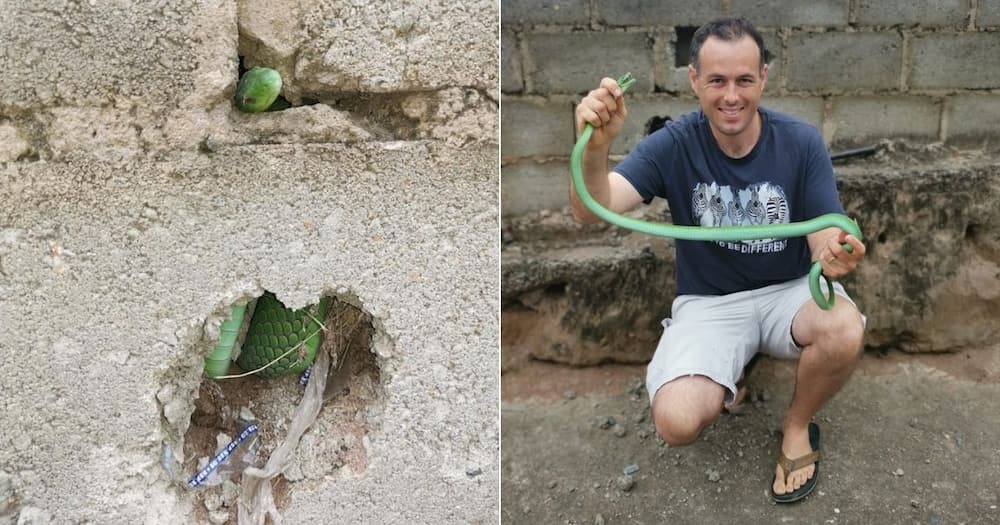 Nick Evans, Wows Mzansi, Once Again, Rescues, Green Mamba, Hiding in Hole, Durban