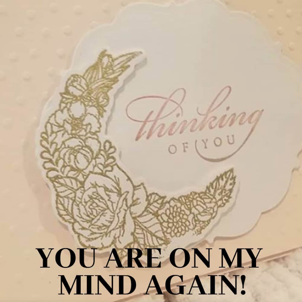 40 cute thinking of you quotes with images 40 cute thinking of you quotes with images
