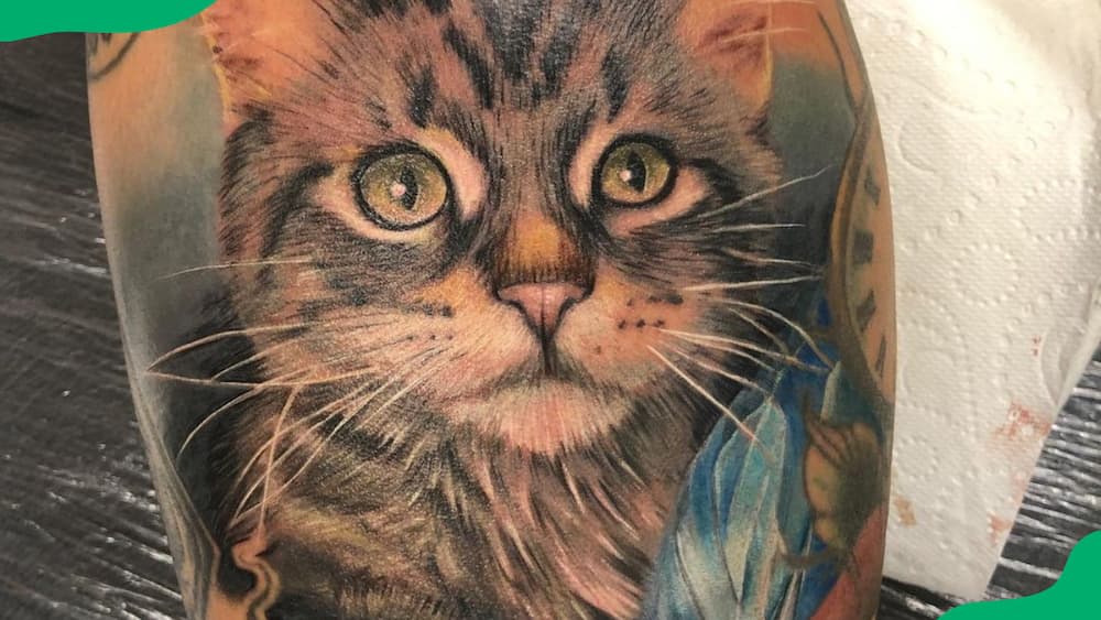 Prowling cat tattoo