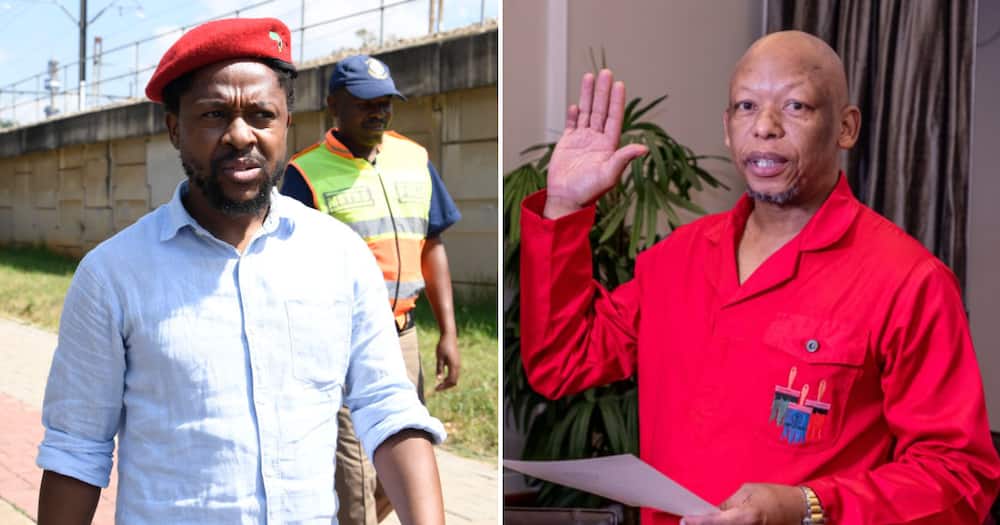 Mbuyiseni Ndlozi says Kwaito star Eugene Mthethwa's swearing-in as a MP is an affirmation of artists' contribution to politics