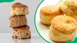 Easy 4-ingredient scones recipe: A quick and yummy baking idea
