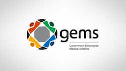 GEMS Medical Aid schemes: Get a detailed overview for 2022