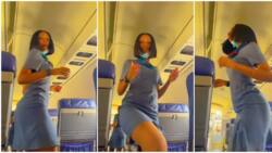 Beautiful female flight attendant records herself as she dances with her waist in an aeroplane in cute video