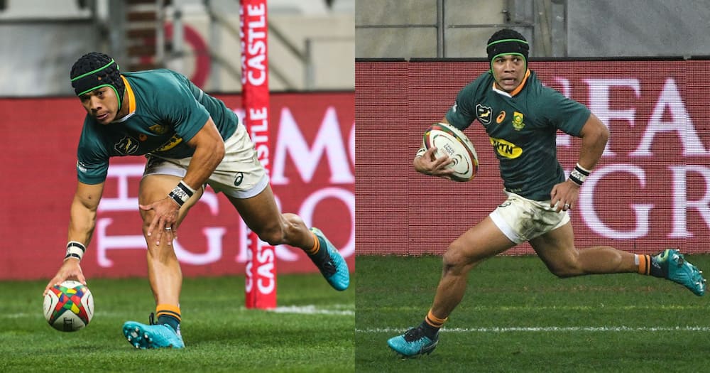 Mzansi, Stans, Cheslin Kolbe, Rugby Mzansi, Stans, Cheslin Kolbe, Rugby