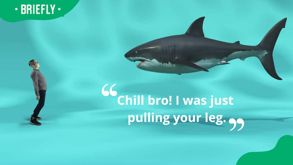 A shark tells a man a joke underwater