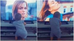 "Feel no pain": Video of toddler copying dance routine on TV has people giggling