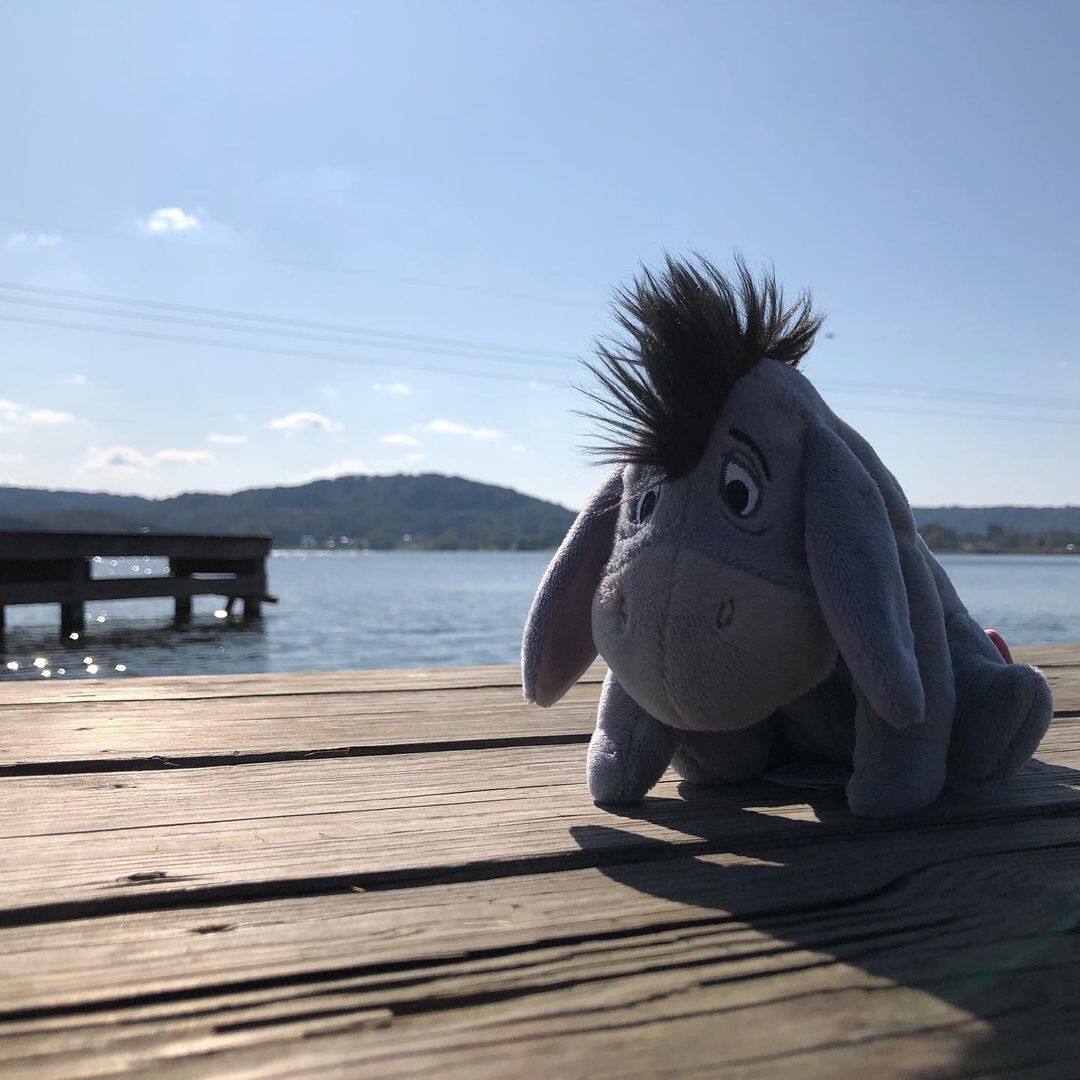 50 Eeyore Quotes And Sayings That Will Cheer You Up Instantly Flipboard