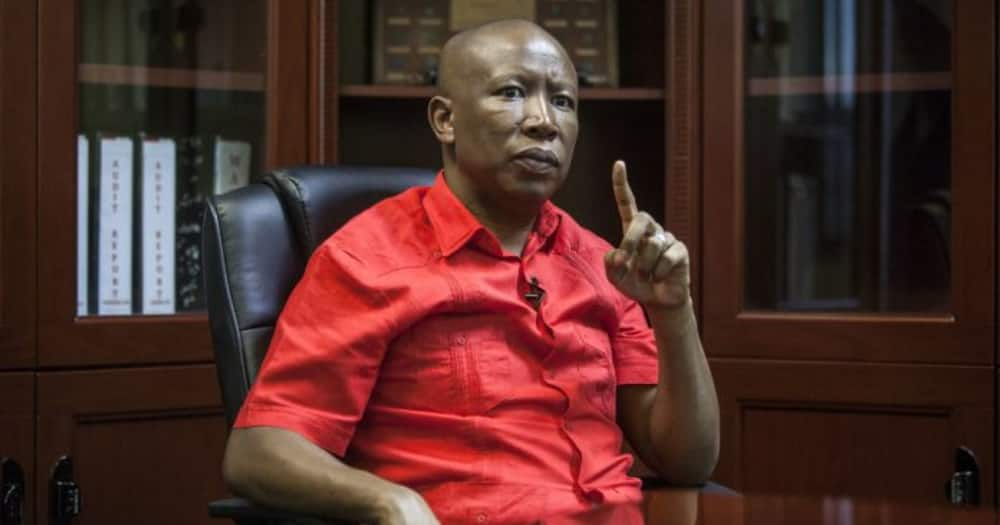 Hashtag #IfWeAllSpokeLikeJulius Trends as Mzansi Reflects on Malema