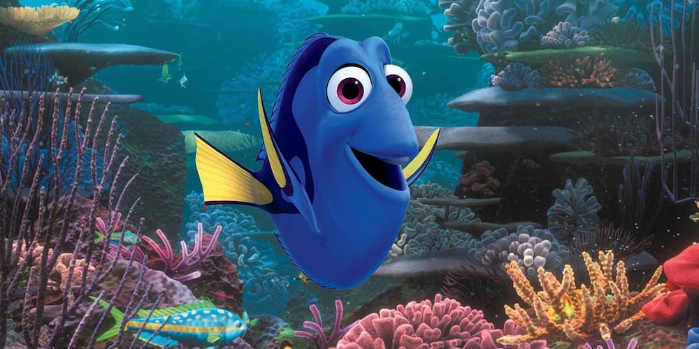 What fish is Dory?
