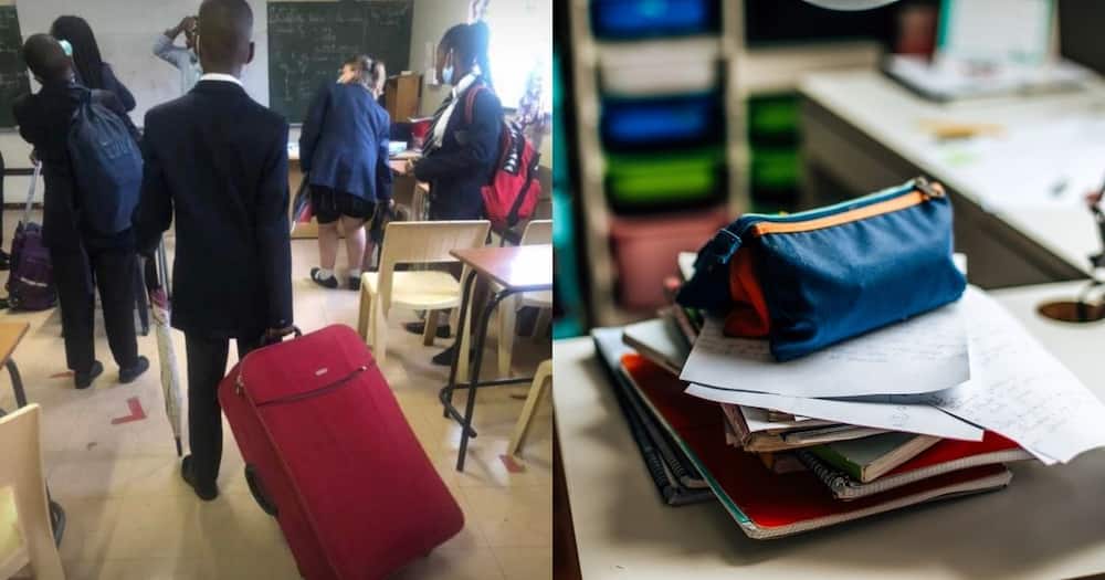 School kid, school supplies, school uniform, suitcase bag, trending news, viral post