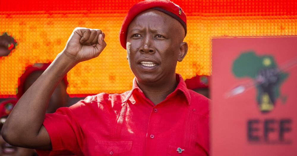 Julius Malema, EFF, CR17 bank statements, President Cyril Ramaphosa, ANC presidential campaign