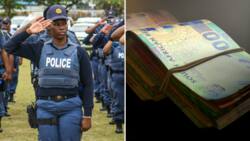 Hawks arrest 13 after R36 million stolen from Zimbabwean businessman’s account after he died in car crash