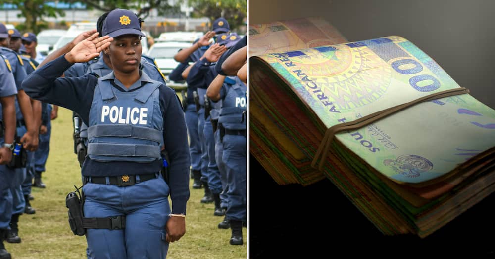 The Hawks arrested 13 suspected fraudsters' who stole millions from a Zimbabwean businessman who died in a car accident