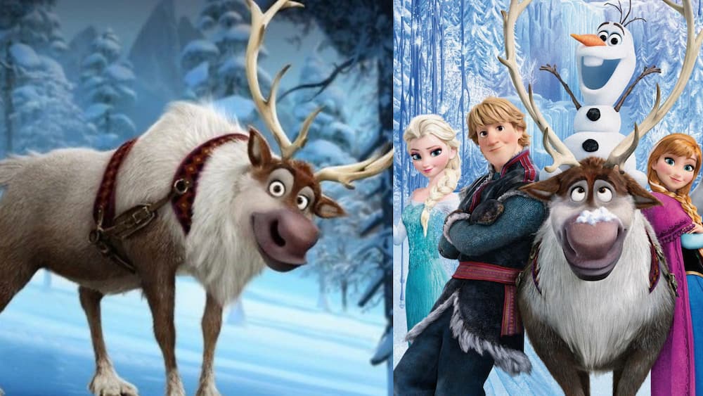 Sven with Elsa, Kristoff, Olaf, and Anna from Disney's Frozen