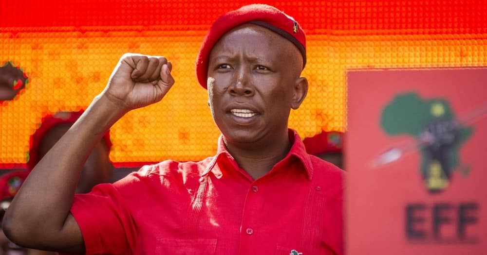Julius Malema: trial date for firearm discharge set for August