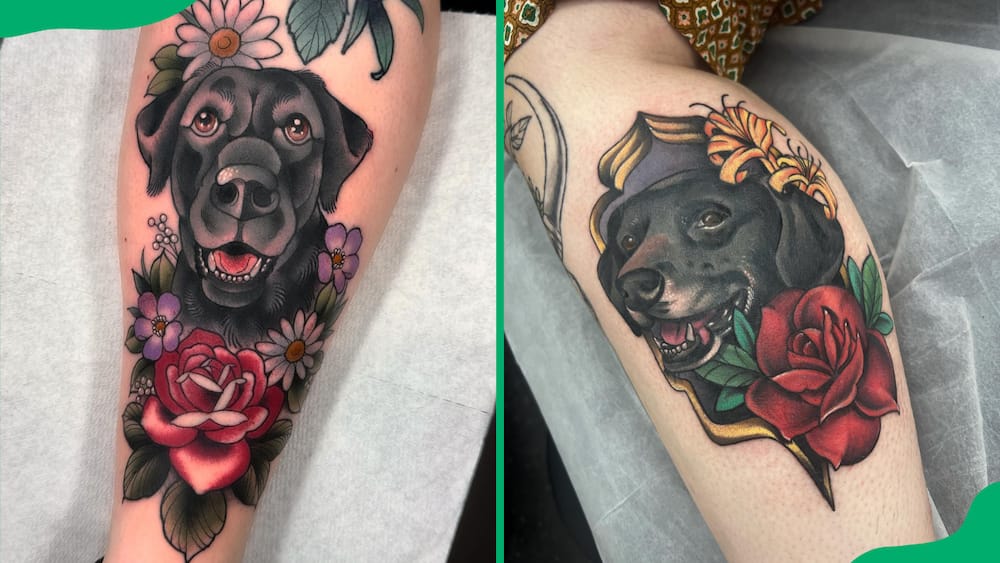 Rose and pet tattoo