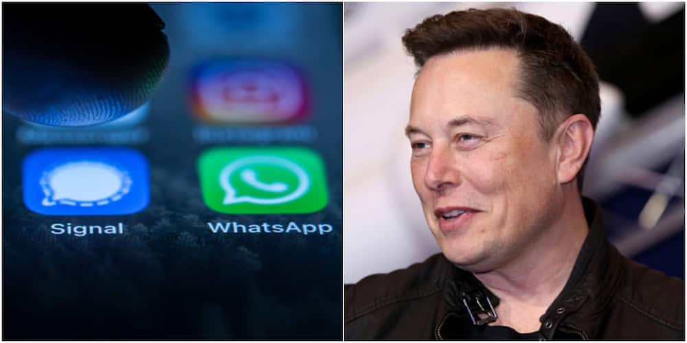 Uncertainties for WhatsApp as app gets rival endorsed by world richest Elon Musk