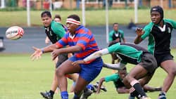 Top 10 best rugby schools in South Africa 2022 (updated list)