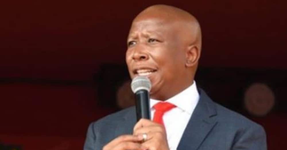 Julius Malema called Trump a "cry baby" and urged him to accept defeat.