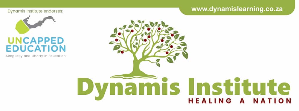 Dynamis Institute website