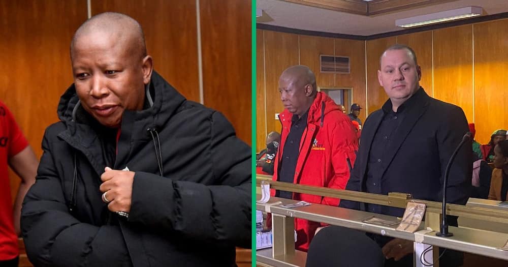 Collage image of EFF leader Julius Malema and his bodyguard Adriaan Snyman