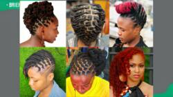 50+ stylish dreadlocks styles for ladies in 2024 (with pictures)