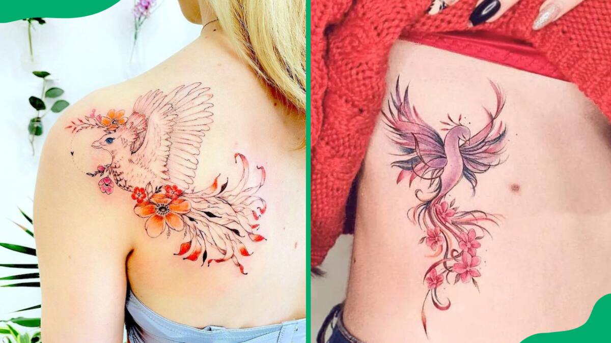 Premium Vector | Phoenix color bird in flight tattoo tshirt graphics