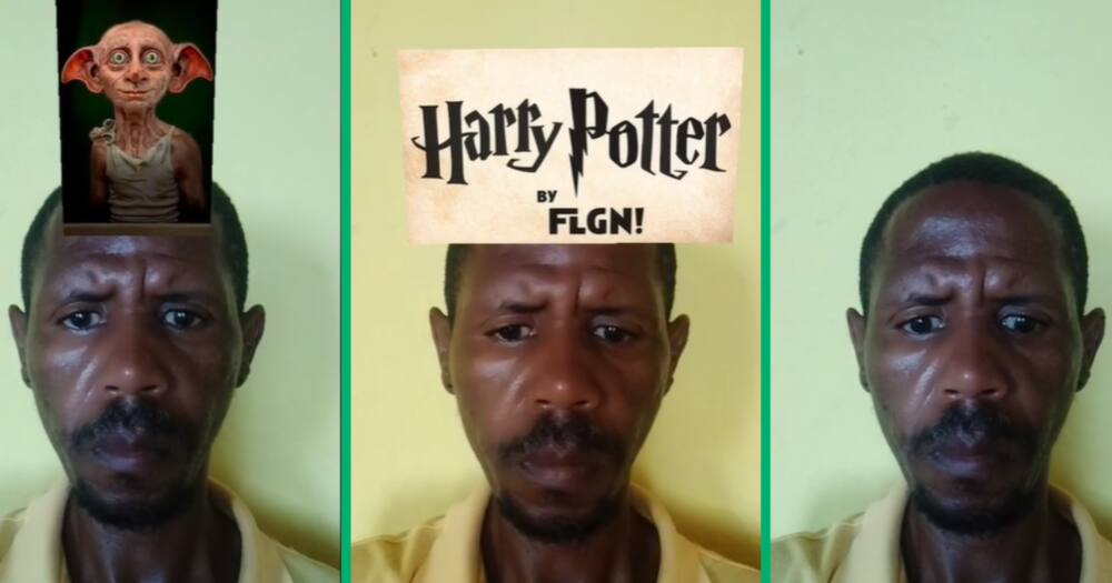 This TikTok video features a South African man using a Harry Potter filter to find his character's look-alike