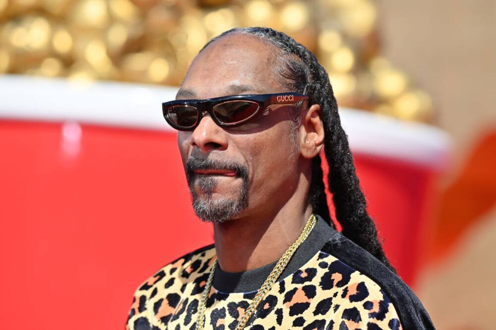 Snoop Dogg attends the MTV Movie & TV Awards at Barker Hangar