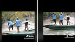 Fierce swimming skills of tigers: How they surprised men on a boat in viral TikTok post