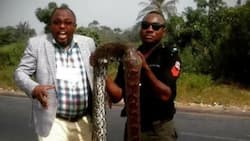 Man and policeman pose with huge snake that allegedly swallowed R1.2 million